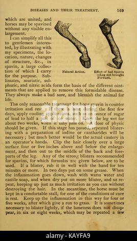 Questo testo, dal *nuovo sistema di educazione dei cavalli*, fornisce istruzioni pratiche per la cura dei cavalli, tra cui l'alimentazione, l'innaffiatura e la calzatura, con particolare attenzione alla gestione della salute e al trattamento delle malattie nei cavalli. Foto Stock
