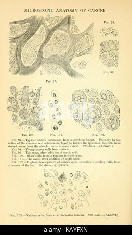 I principi e la pratica della chirurgia veterinaria20483986 BHL Foto Stock