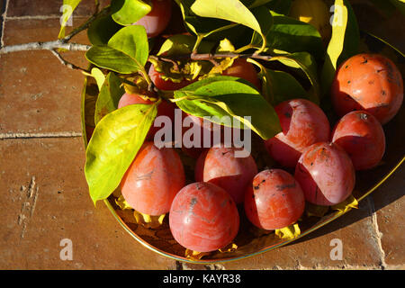 Cachi, noto anche come sharon di frutta o kaki Foto Stock