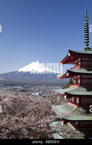 Giappone, pagoda nel Arakura Sengen santuario, fiori di ciliegio e il Monte Fuji, Foto Stock