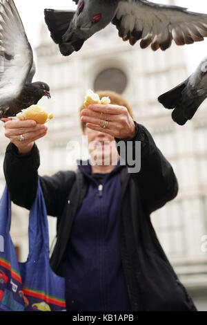 Un turista alimentando un piccione a Firenze in Italia da una serie di foto di viaggio in Italia. photo Data: lunedì, 18 settembre 2017. Foto di credito dovrebbe Foto Stock