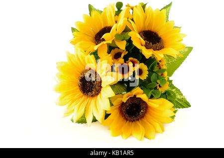 Primo piano di un girasole bouquet su sfondo bianco con copia spazio. Foto Stock