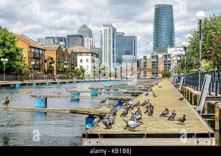 Vista del canary wharf skyline da millwall dock esterno nell'Isle of Dogs, Londra Foto Stock