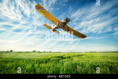 Agricoltura, volo bassa piano giallo spruzzato colture in campo Foto Stock