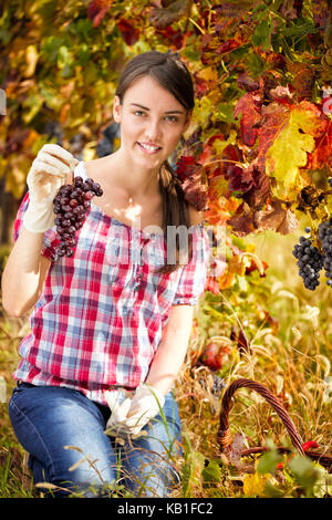 Giovane bella donna in vigna Foto Stock