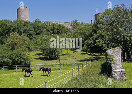 Germania, hessia, coin montagna, wetteraukreis, castello, costruisce dalla seconda metà 12. cento., cavalli, pascolo, Foto Stock