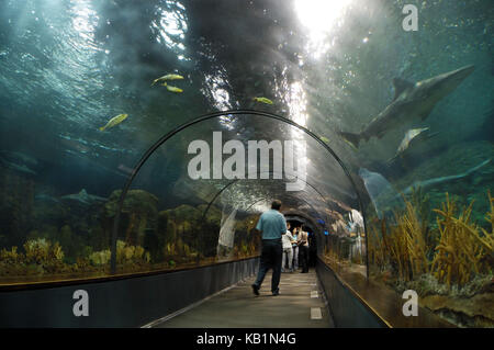 Acquario nel loro parque, tenerife, Spagna, Foto Stock