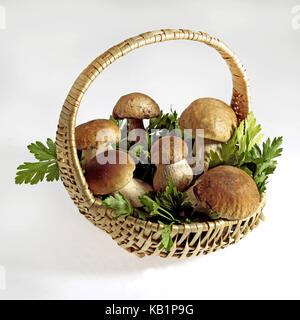 Il CEPS, Boletus edulis, basket, prezzemolo, sfondo bianco Foto Stock