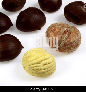Le castagne, castanea sativa, frutti, pelati e non pelati, sfondo bianco Foto Stock
