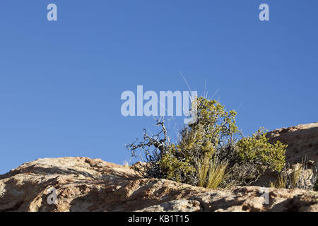 Bolivia, los lipez, valle de las rocas, Foto Stock