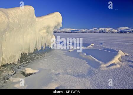 La Svezia, nord svedese, Lapponia, lago Torneträsk, formazioni di ghiaccio, ghiaccioli, Foto Stock