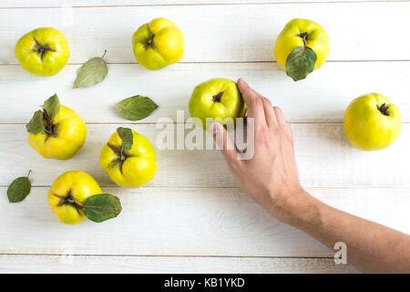 La raccolta, l'autunno, il concetto di intrattenimento delicato mano di uomo caucasico toccando giallo verde di frutta che è stata prelevata dalla struttura ad albero di mela cotogna, essi sono sdraiato sul tavolo bianco Foto Stock