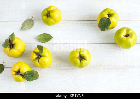 Uno stile di vita sano, nutrizione, concetto di trattamento. vista dall'alto di giallo limone frutti raccolti dalla struttura ad albero di mela cotogna, essi sono sdraiato sul tavolo di perfetta superficie bianca della tabella Foto Stock