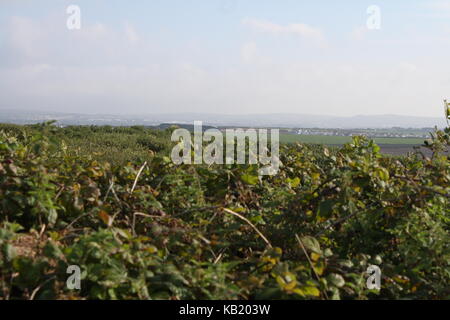 Gran Bretagna rurale Foto Stock