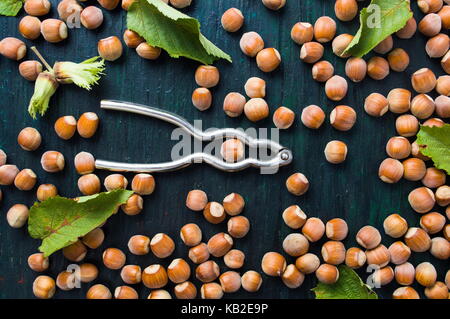 Le nocciole con strumento di cracking sul legno scuro board Foto Stock