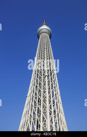 Giappone, Honshu, tokyo asakusa, skytree tower, Foto Stock