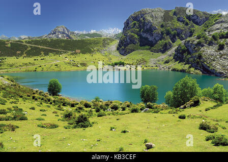 Spagna, Asturias, vista sul lago di montagna lago enol nel Parco Nazionale Picos de Europa, Foto Stock