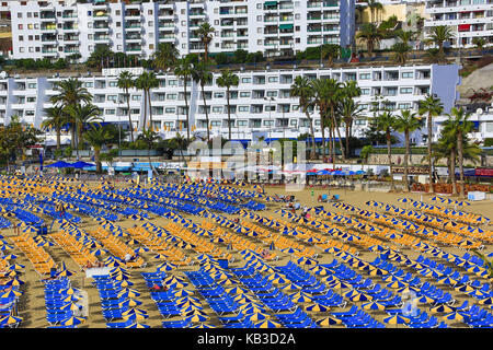 Spagna isole canarie Gran Canaria, puerto rico, spiaggia, sedie a sdraio, il turismo di massa, Foto Stock