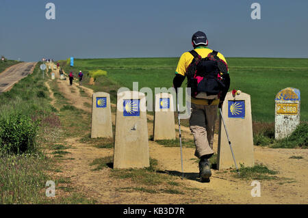 Spagna, via di San Giacomo, pellegrini giacobini sul Camino di fronte al Carrion de Los Condes, Foto Stock