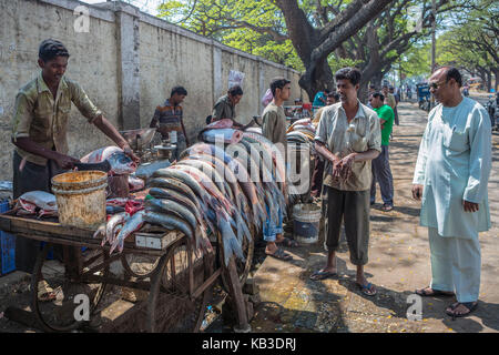 India, Karnataka, mysore devarala mercato, pescivendolo sulla strada Foto Stock