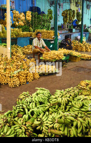 India, Karnataka, mysore devarala mercato, le vendite di banane Foto Stock