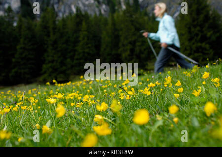 Donna, nordic trekking nelle dolomiti, Foto Stock