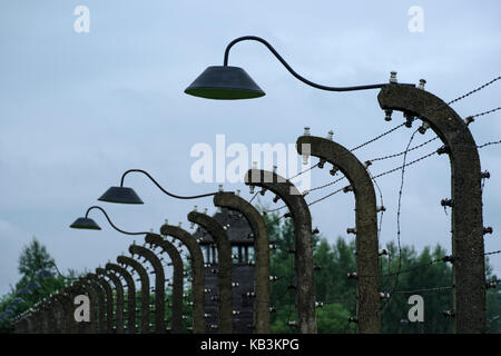 Barbwire recinzioni in Auschwitz Birkenau II campo di concentramento, Polonia Foto Stock