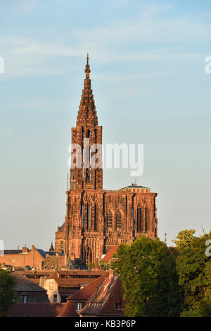 Francia, Bas Rhin, Strasburgo, città vecchia sono classificati come patrimonio mondiale dall'UNESCO, la cattedrale di Notre Dame Foto Stock