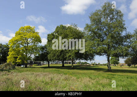 Vista su ruvida al diciottesimo foro e il verde e la clubhouse, canterbury golf club, canterbury, nel Kent, Inghilterra Foto Stock