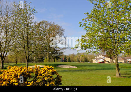 Vista su fiori colorati di verde e la clubhouse a braintree golf club, Essex, Inghilterra Foto Stock