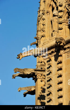 Francia, della Mosella, Metz, la cattedrale di Saint Etienne Foto Stock