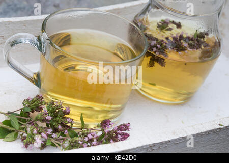 Kräutertee-Tee, Oreganotee, Tee, Blütentee, Heiltee aus Oregano,  . Oregano, Wilder Dost, Echter Dost, Gemeiner Dost, Origanum vulgare, Oregano, Foto Stock