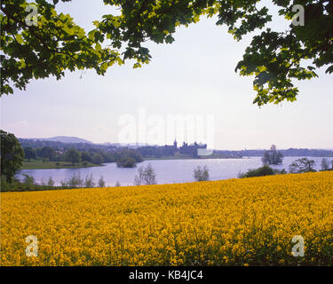 Una molla di pacifica scena verso Linlithgow Palace attraverso campi colorati di semi di colza e di ravizzone, West Lothian, Scozia centrale Foto Stock