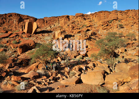 La Namibia, damaraland, twyfeltontein, classificato come patrimonio mondiale dall' UNESCO, incisioni rupestri Foto Stock