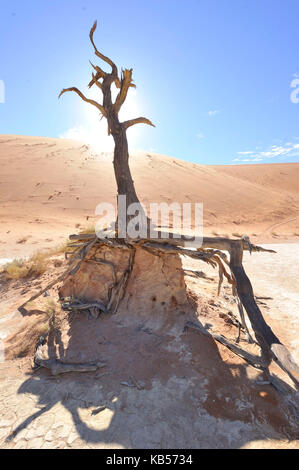 La Namibia, hardap, Namib Desert, namib-naukluft national park, dune del Sossusvlei, Dead Vlei Foto Stock