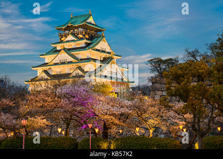 Il castello di Osaka con alberi di ciliegio che di notte, Giappone Foto Stock
