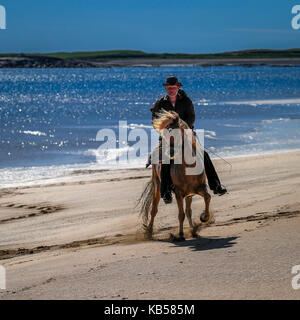 Passeggiate a cavallo sulla spiaggia longufjordur, snaefellsnes peninsula, Islanda Foto Stock