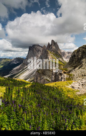 Europa, Italia, Alpi, Dolomiti, Monti, Alto Adige, Val Gardena, Geislergruppe / Gruppo delle Odle, Vista da Seceda Foto Stock