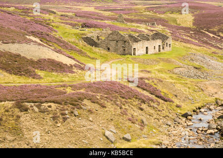 Arrendersi puzzava mill, in Yorkshire Dales, durante il mese di agosto Foto Stock