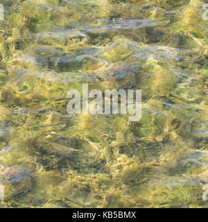 Seamless texture di acqua in piscina piastrellata, fontana. sfondo, natura. Foto Stock
