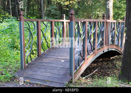 Ponte decorativo nel parco in estate. Sfondo. Foto Stock