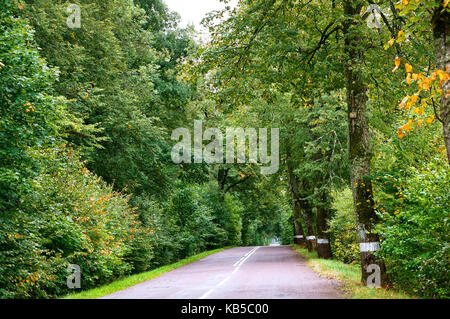 Avvolgimento di villaggio strada secondaria nel villaggio e gli alberi sui bordi Foto Stock