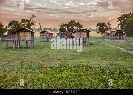 Miching tribù capanne ad dhapak villaggio in majuli island, Assam, India Foto Stock