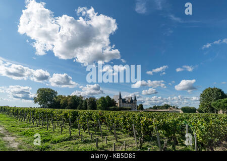 Chateau Pichon Baron , vigneto di Medoc, Margeaux, grevine, Bordeaux, Gironda, Aquitania, Francia, Europa, Foto Stock