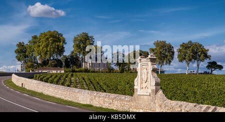 Chateau Latour, vigneti nel medoc, bordeaux, Gironde, Aquitania, in Francia, in Europa, Foto Stock