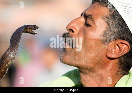 Il serpente incantatore, Djemaa el Fna a Marrakech, Marocco, Africa settentrionale, Africa Foto Stock