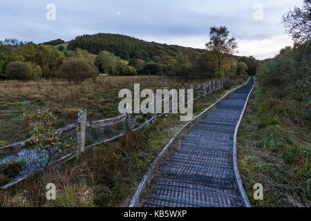 Il sole che tramonta sulla Cors Caron riserva naturale nazionale come i colori autunnali iniziano a mostrare nei pressi di Tregaron nel Galles centrale. Credito: Ian Jones/Alamy Live News Foto Stock