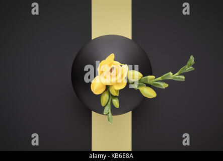 Giallo Fresia in vaso nero Foto Stock