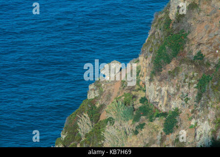 Penedo São Jorge Madeira costa nord Foto Stock