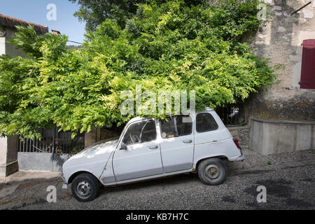 Renault 4 parcheggiata sotto una grande glicine a Marsanne Auvergne Rhône-Alpes Foto Stock